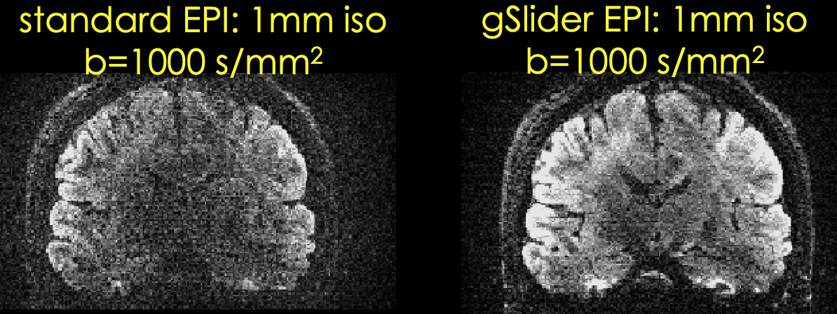 fig2